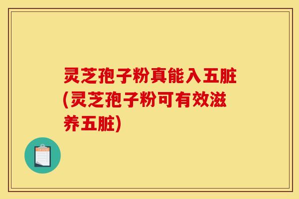 灵芝孢子粉真能入五脏(灵芝孢子粉可有效滋养五脏)