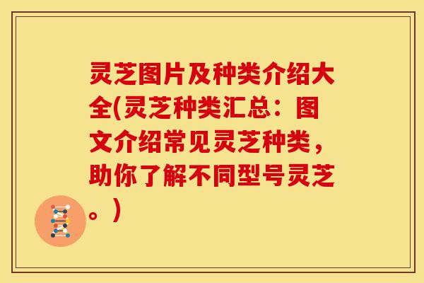 灵芝图片及种类介绍大全(灵芝种类汇总:图文介绍常见灵芝种类,助你了解不同型号灵芝。)