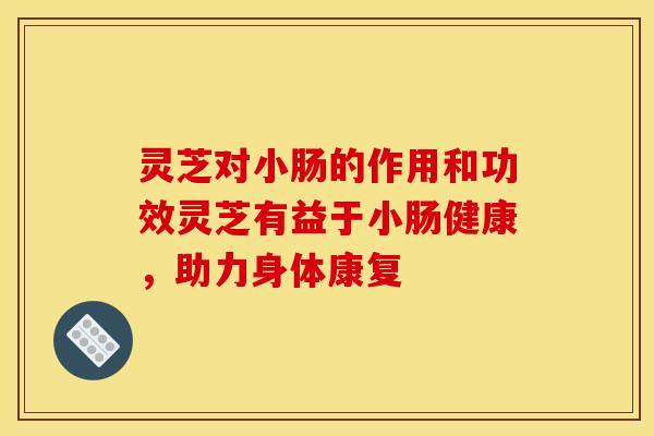 灵芝对小肠的作用和功效灵芝有益于小肠健康，助力身体康复