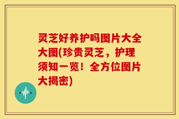 灵芝好养护吗图片大全大图(珍贵灵芝，护理须知一览！全方位图片大揭密)