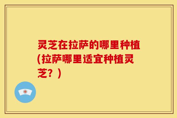 灵芝在拉萨的哪里种植(拉萨哪里适宜种植灵芝?)