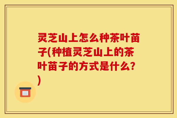 灵芝山上怎么种茶叶苗子(种植灵芝山上的茶叶苗子的方式是什么?)