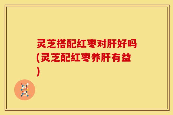 灵芝搭配红枣对肝好吗(灵芝配红枣养肝有益)