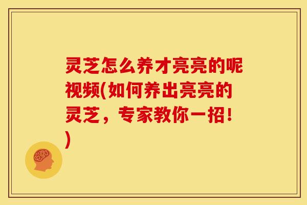 灵芝怎么养才亮亮的呢视频(如何养出亮亮的灵芝,专家教你一招!)