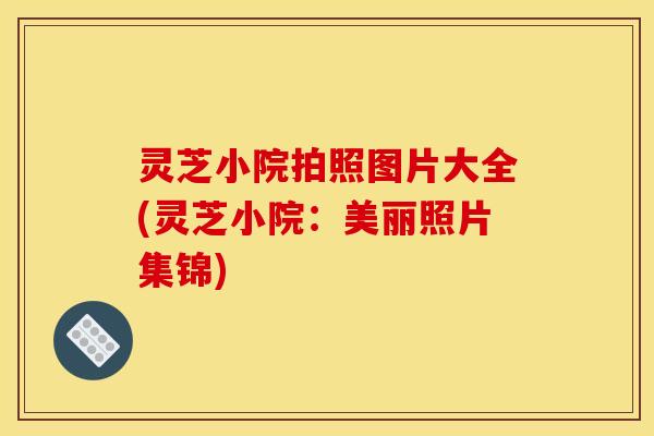 灵芝小院拍照图片大全(灵芝小院：美丽照片集锦)