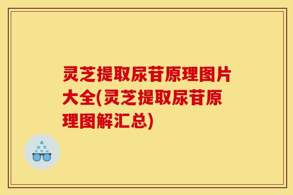 灵芝提取尿苷原理图片大全(灵芝提取尿苷原理图解汇总)