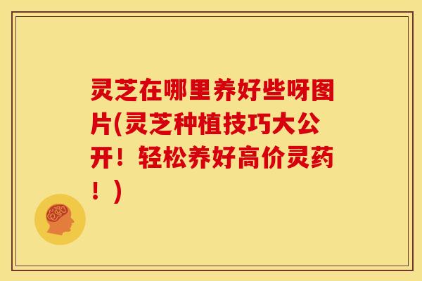 灵芝在哪里养好些呀图片(灵芝种植技巧大公开!轻松养好高价灵药!)