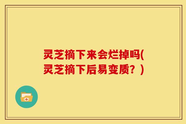 灵芝摘下来会烂掉吗(灵芝摘下后易变质?)