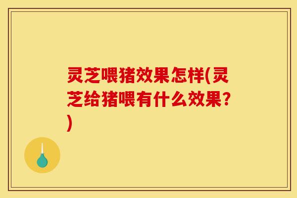 灵芝喂猪效果怎样(灵芝给猪喂有什么效果？)