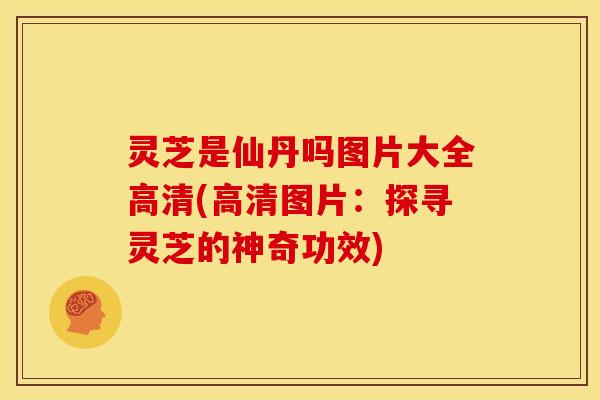 灵芝是仙丹吗图片大全高清(高清图片:探寻灵芝的神奇功效)