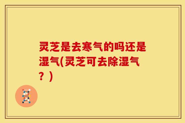 灵芝是去寒气的吗还是湿气(灵芝可去除湿气?)