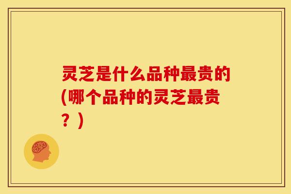 灵芝是什么品种最贵的(哪个品种的灵芝最贵？)
