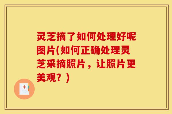 灵芝摘了如何处理好呢图片(如何正确处理灵芝采摘照片,让照片更美观?)