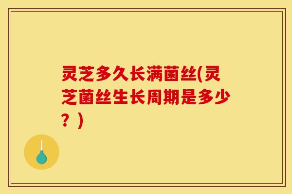 灵芝多久长满菌丝(灵芝菌丝生长周期是多少?)