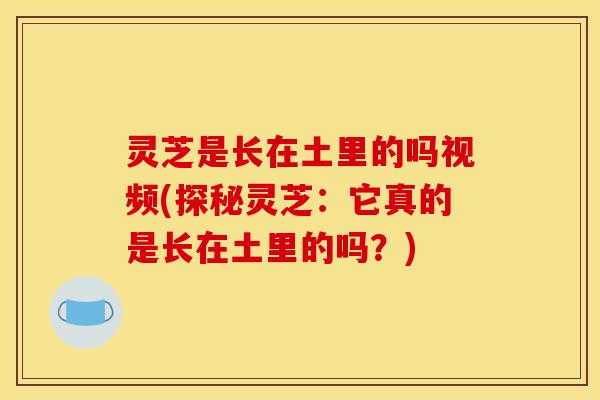 灵芝是长在土里的吗视频(探秘灵芝:它真的是长在土里的吗?)