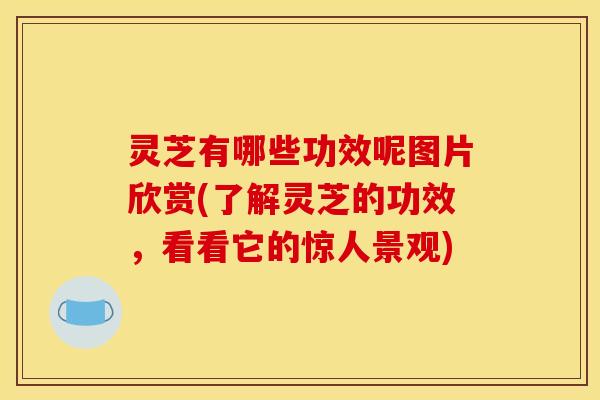 灵芝有哪些功效呢图片欣赏(了解灵芝的功效,看看它的惊人景观)