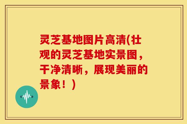 灵芝基地图片高清(壮观的灵芝基地实景图,干净清晰,展现美丽的景象!)