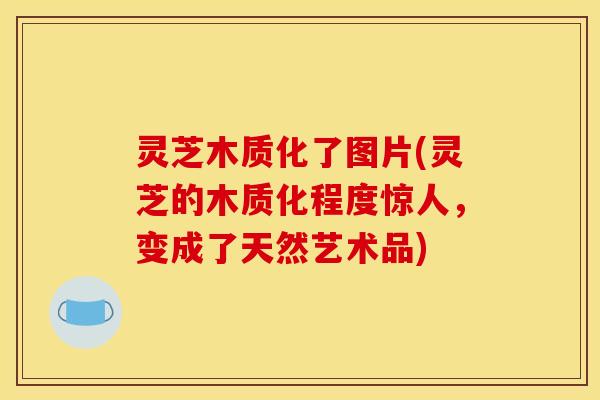 灵芝木质化了图片(灵芝的木质化程度惊人,变成了天然艺术品)