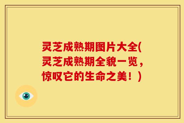 灵芝成熟期图片大全(灵芝成熟期全貌一览，惊叹它的生命之美！)