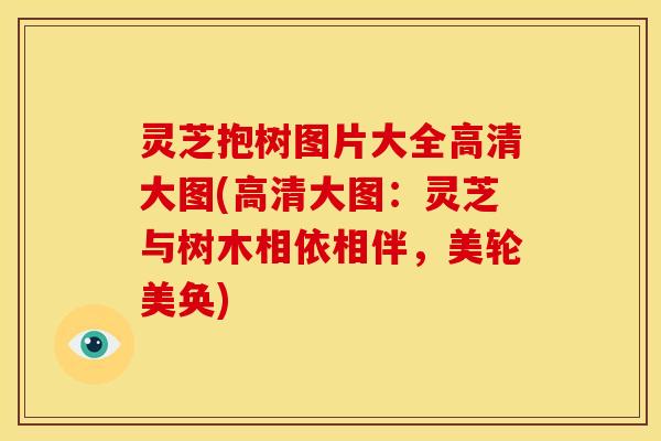灵芝抱树图片大全高清大图(高清大图:灵芝与树木相依相伴,美轮美奂)