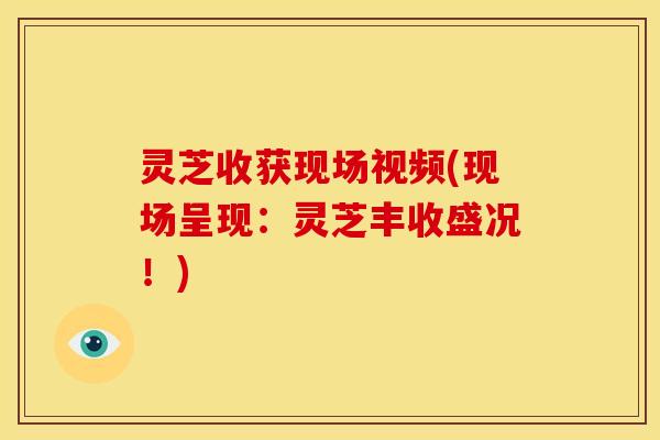 灵芝收获现场视频(现场呈现:灵芝丰收盛况!)
