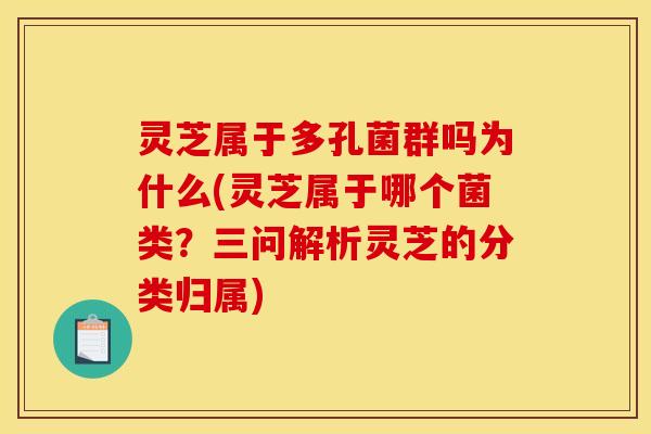 灵芝属于多孔菌群吗为什么(灵芝属于哪个菌类?三问解析灵芝的分类归属)