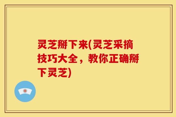 灵芝掰下来(灵芝采摘技巧大全，教你正确掰下灵芝)