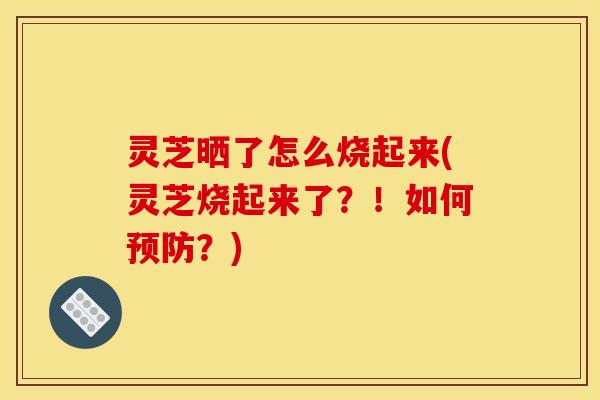 灵芝晒了怎么烧起来(灵芝烧起来了?!如何预防?)
