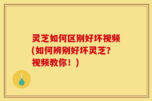 灵芝如何区别好坏视频(如何辨别好坏灵芝?视频教你!)