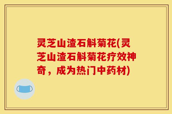 灵芝山渣石斛菊花(灵芝山渣石斛菊花疗效神奇，成为热门中药材)