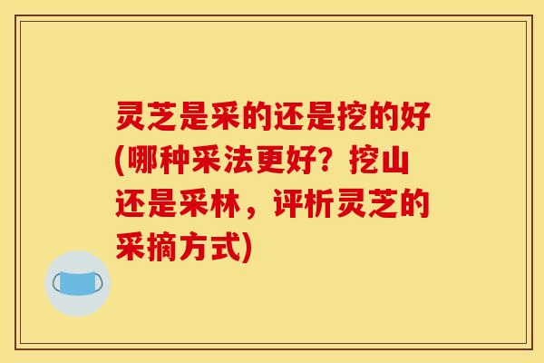 灵芝是采的还是挖的好(哪种采法更好?挖山还是采林,评析灵芝的采摘方式)
