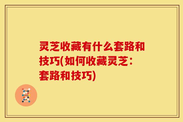 灵芝收藏有什么套路和技巧(如何收藏灵芝：套路和技巧)