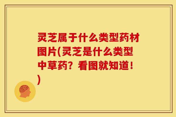 灵芝属于什么类型药材图片(灵芝是什么类型中草药?看图就知道!)