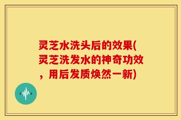灵芝水洗头后的效果(灵芝洗发水的神奇功效，用后发质焕然一新)