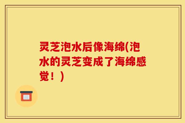灵芝泡水后像海绵(泡水的灵芝变成了海绵感觉!)