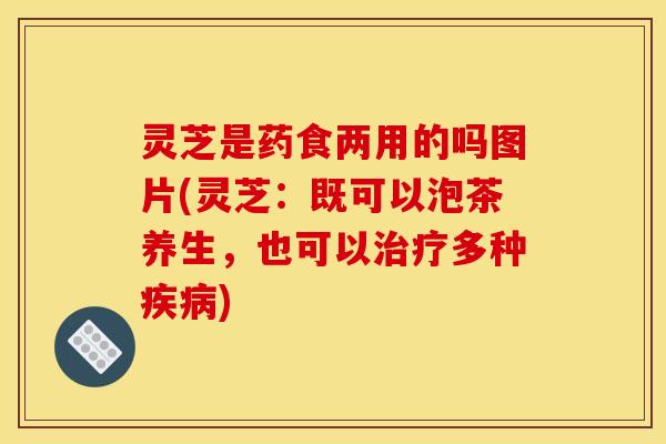 灵芝是药食两用的吗图片(灵芝:既可以泡茶养生,也可以治疗多种疾病)