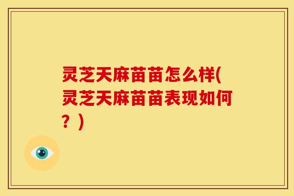 灵芝天麻苗苗怎么样(灵芝天麻苗苗表现如何?)