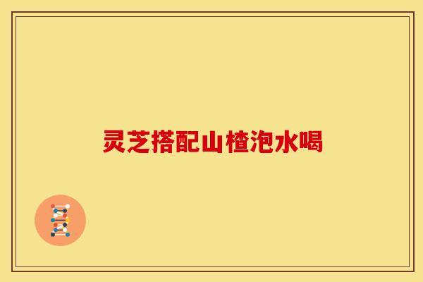 灵芝搭配山楂泡水喝