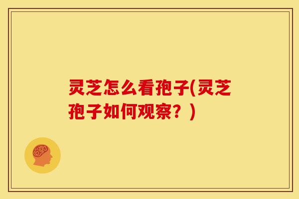 灵芝怎么看孢子(灵芝孢子如何观察?)