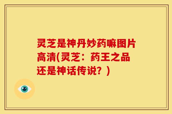 灵芝是神丹妙药嘛图片高清(灵芝:药王之品还是神话传说?)