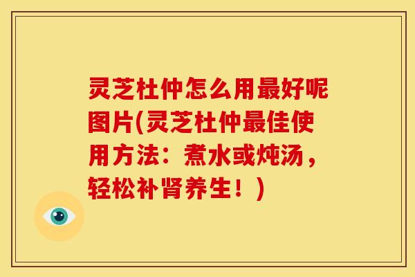 灵芝杜仲怎么用最好呢图片(灵芝杜仲最佳使用方法：煮水或炖汤，轻松补肾养生！)