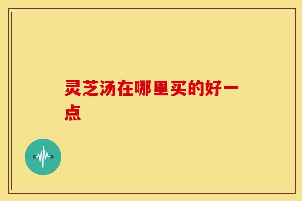 灵芝汤在哪里买的好一点