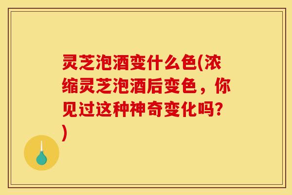 灵芝泡酒变什么色(浓缩灵芝泡酒后变色,你见过这种神奇变化吗?)
