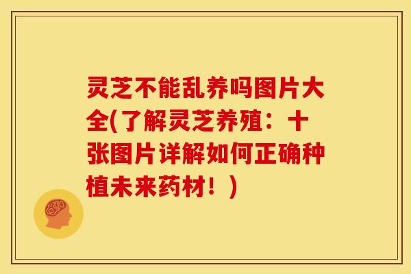 灵芝不能乱养吗图片大全(了解灵芝养殖:十张图片详解如何正确种植未来药材!)