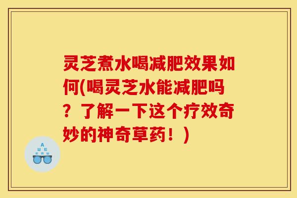 灵芝煮水喝减肥效果如何(喝灵芝水能减肥吗?了解一下这个疗效奇妙的神奇草药!)
