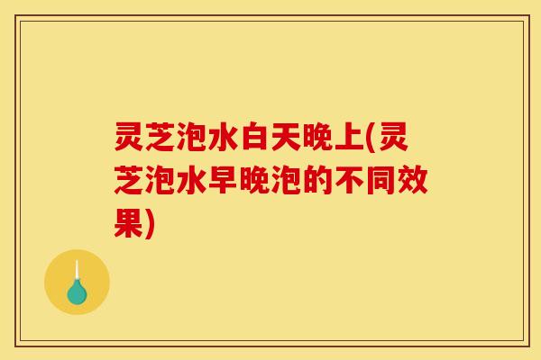 灵芝泡水白天晚上(灵芝泡水早晚泡的不同效果)