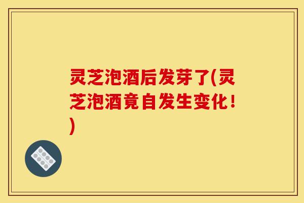 灵芝泡酒后发芽了(灵芝泡酒竟自发生变化！)