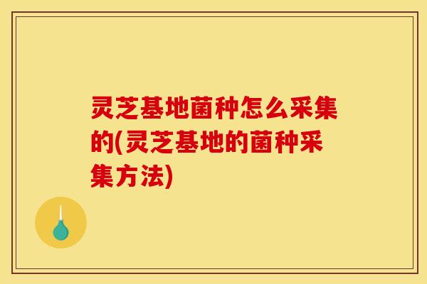 灵芝基地菌种怎么采集的(灵芝基地的菌种采集方法)
