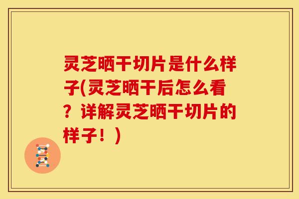灵芝晒干切片是什么样子(灵芝晒干后怎么看?详解灵芝晒干切片的样子!)