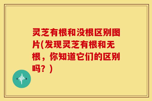 灵芝有根和没根区别图片(发现灵芝有根和无根，你知道它们的区别吗？)